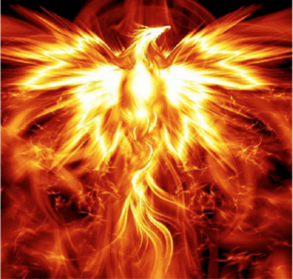 The Phoenix: Ancient Myth, Personal Journey