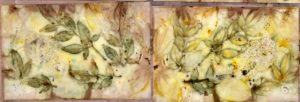 Introduction to Eco Printing